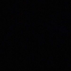 Meet your Posher, Riley